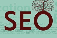 【行业】百度“蜘蛛”最喜欢的三类网站