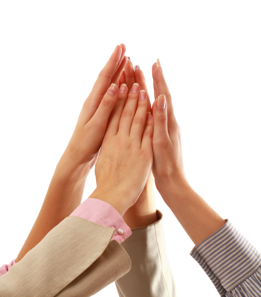 签约厦门赛诺邦格生物科技有限公司