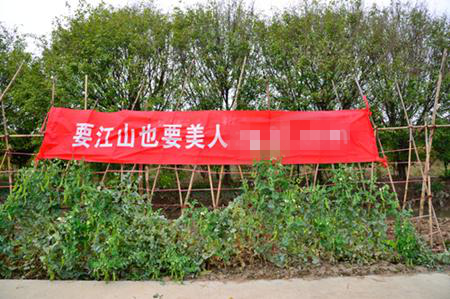 互联网公司春节新营销 下乡刷墙引关注