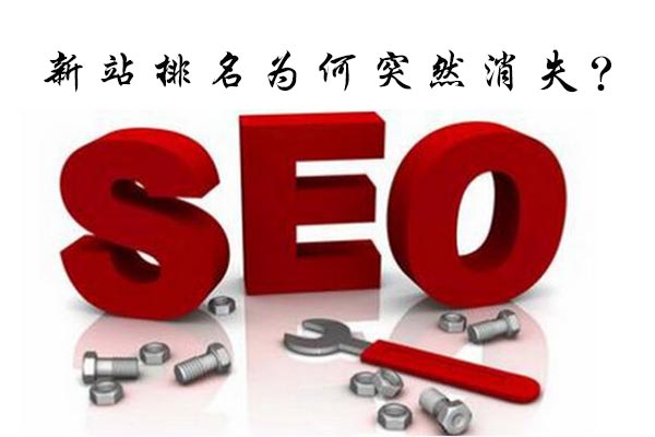 新站排名消失原因分析