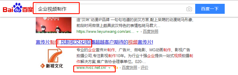 广州新视文化传播有限公司