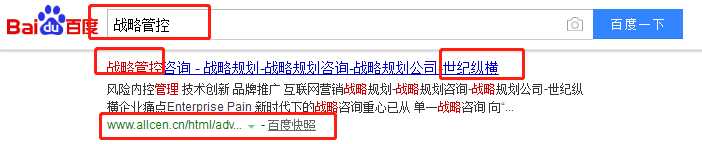 世纪纵横（北京）管理咨询有限公司