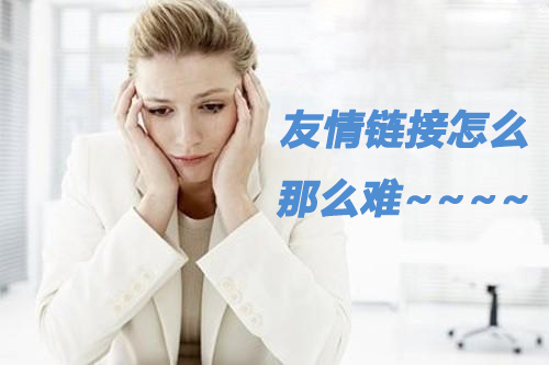  【报道】 网赢战车-------网站优化之外链篇 