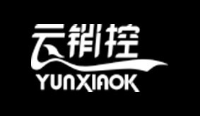 云销控网络科技成都有限公司