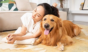 2021中国宠物食品行业深度全景解读